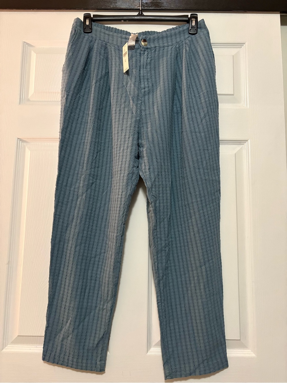 NWT Anthropologie Amadi Blue Textured Casual Pants XL